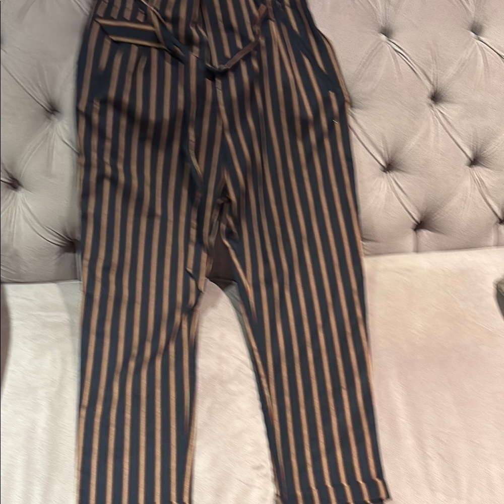 Zara Blue  and Red Striped High-Waisted dress pants